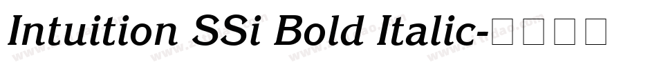Intuition SSi Bold Italic字体转换